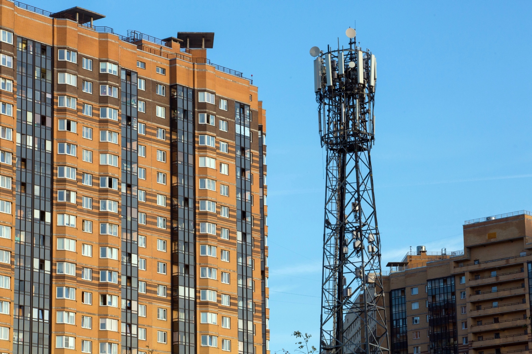 Мишустину пожаловались на «электромагнитное излучение» в Петербурге — РБК