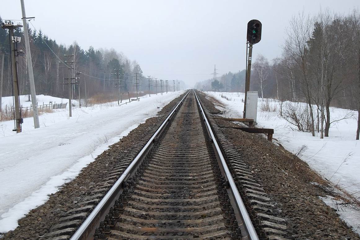 Скоростной поезд «Ласточка» сбил человека в Нижегородской области