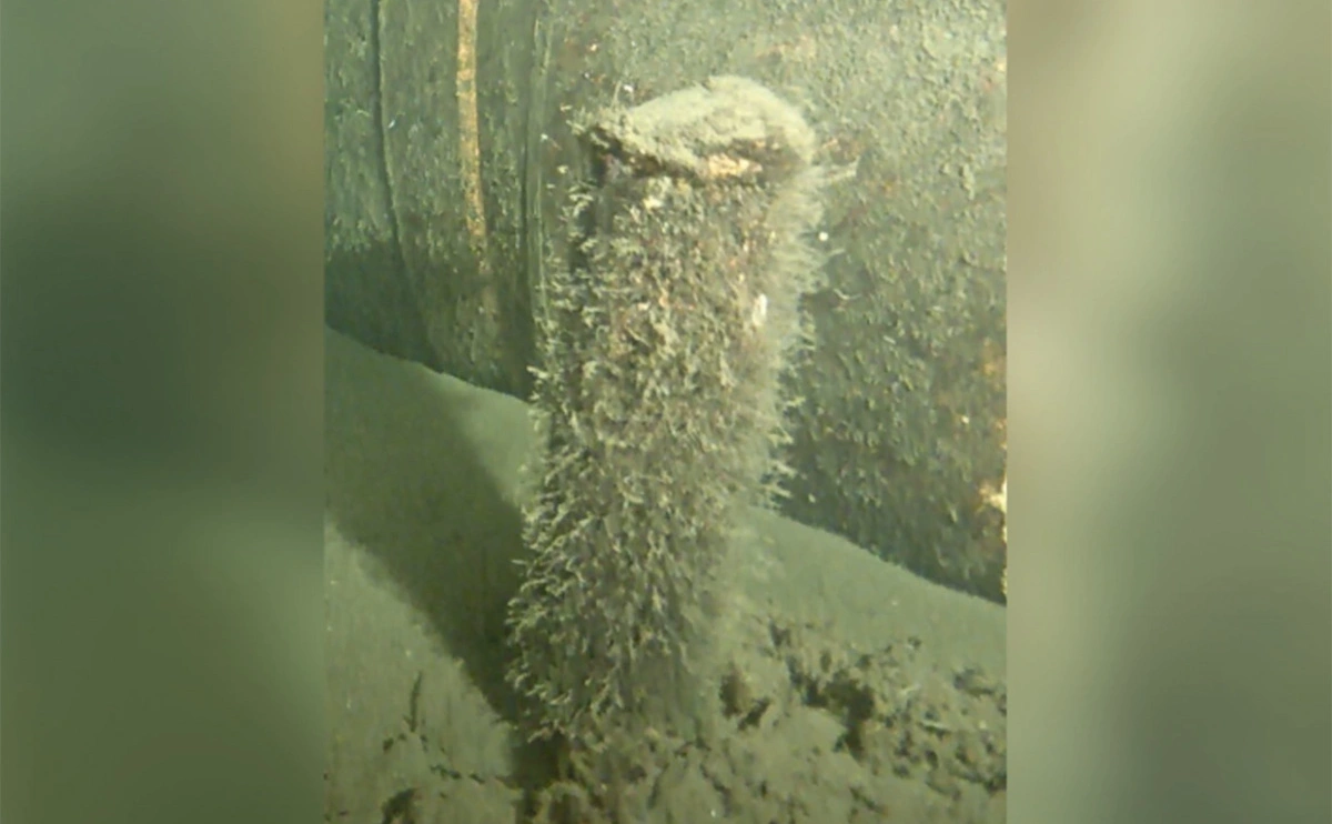 Министерство обороны Дании