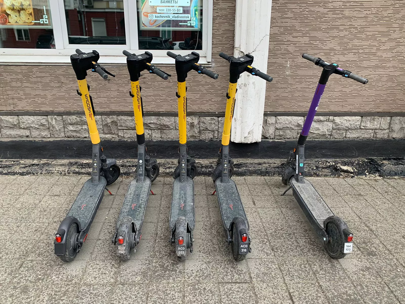 РБК Приморье