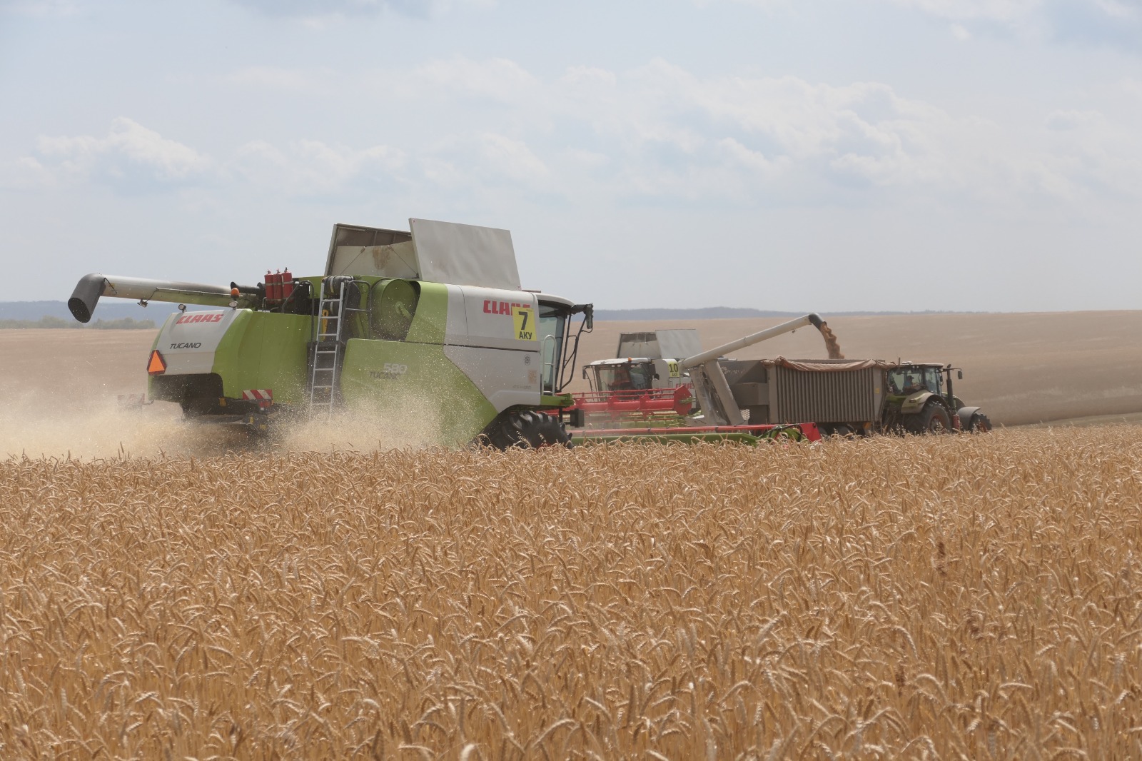 Урожайный год: владелец мега-элеваторов в РТ закупит вагоны для зерна