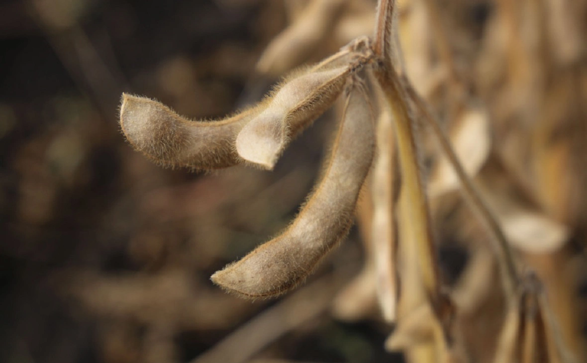 Минсельхоз РБ