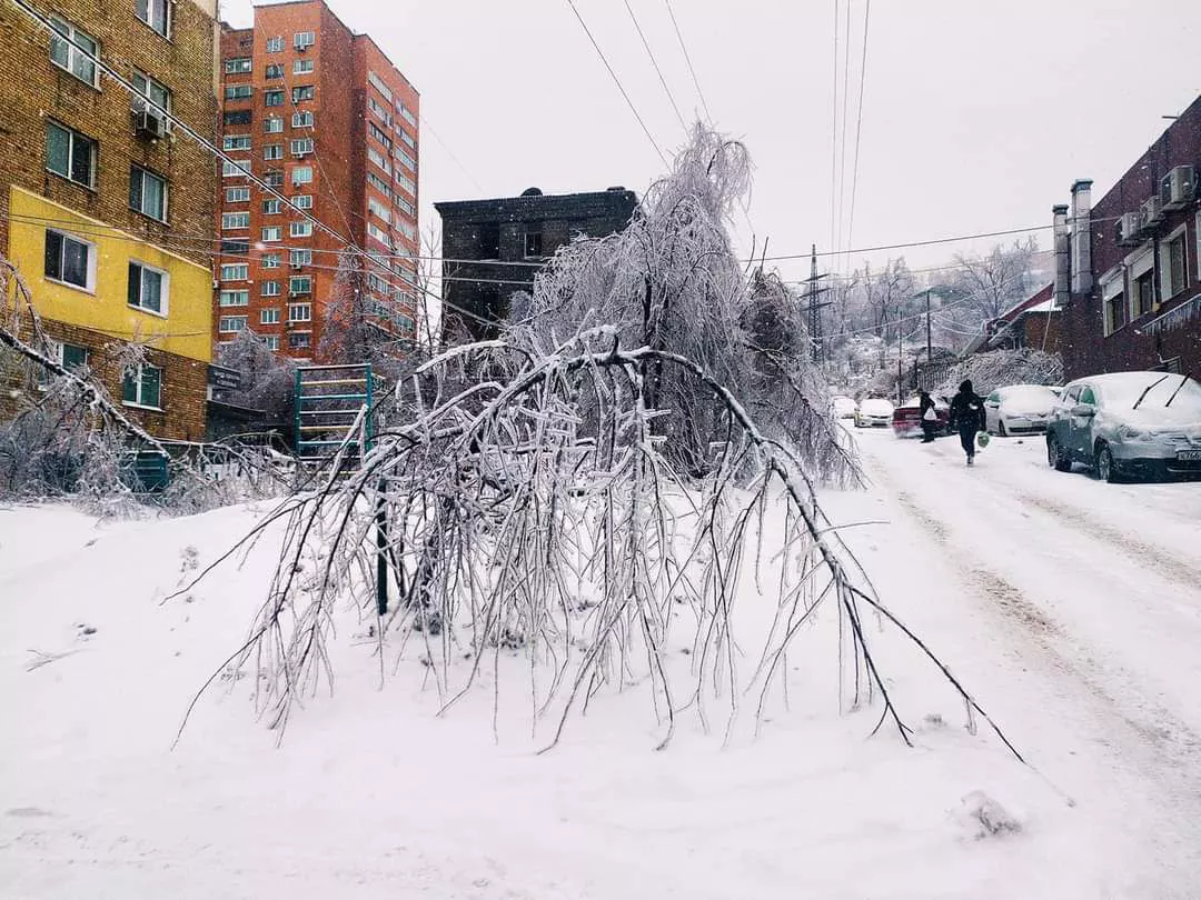 РБК Приморье