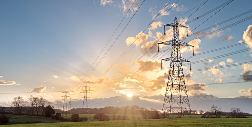 Фото: Shutterstock