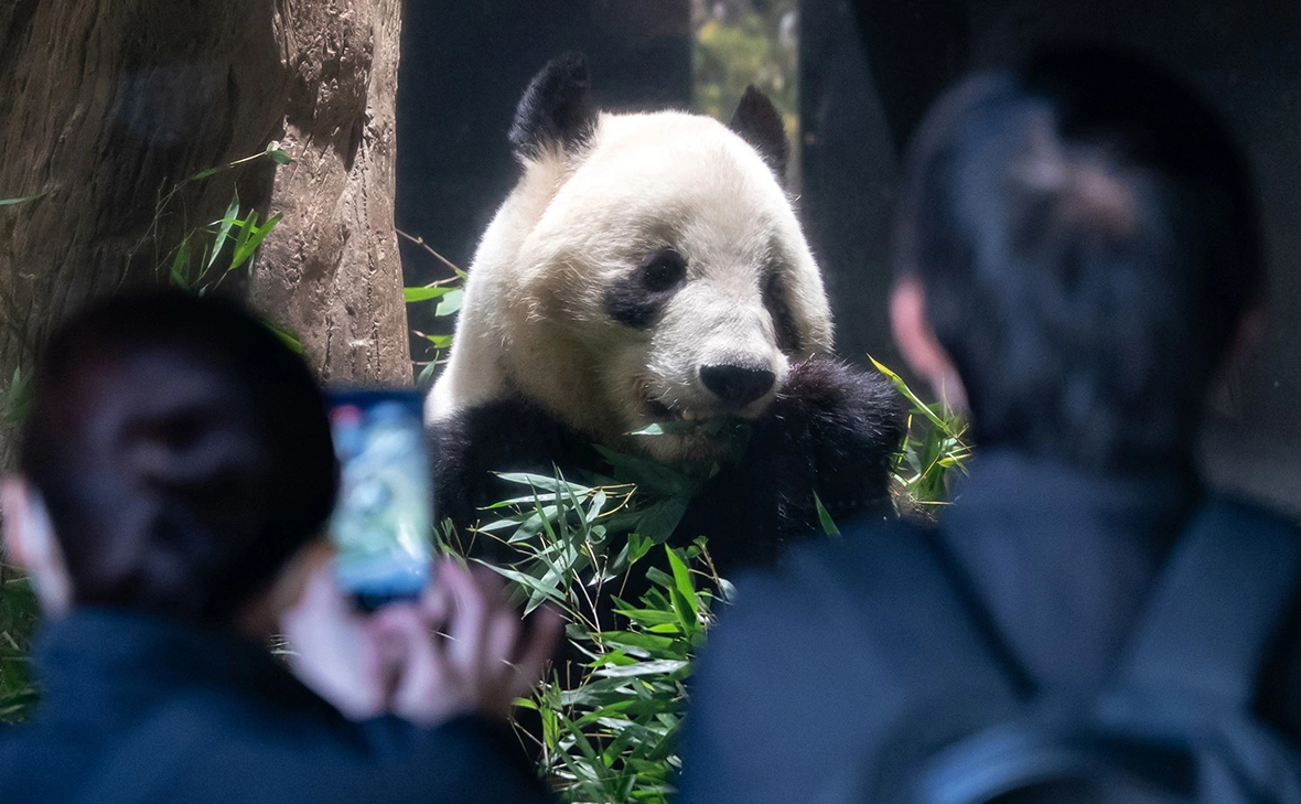 Tomohiro Ohsumi / Getty Images