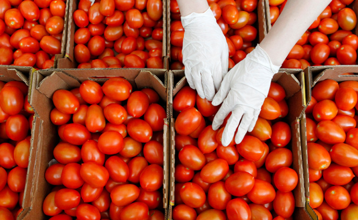 Фото: Эдуард Корниенко / Reuters