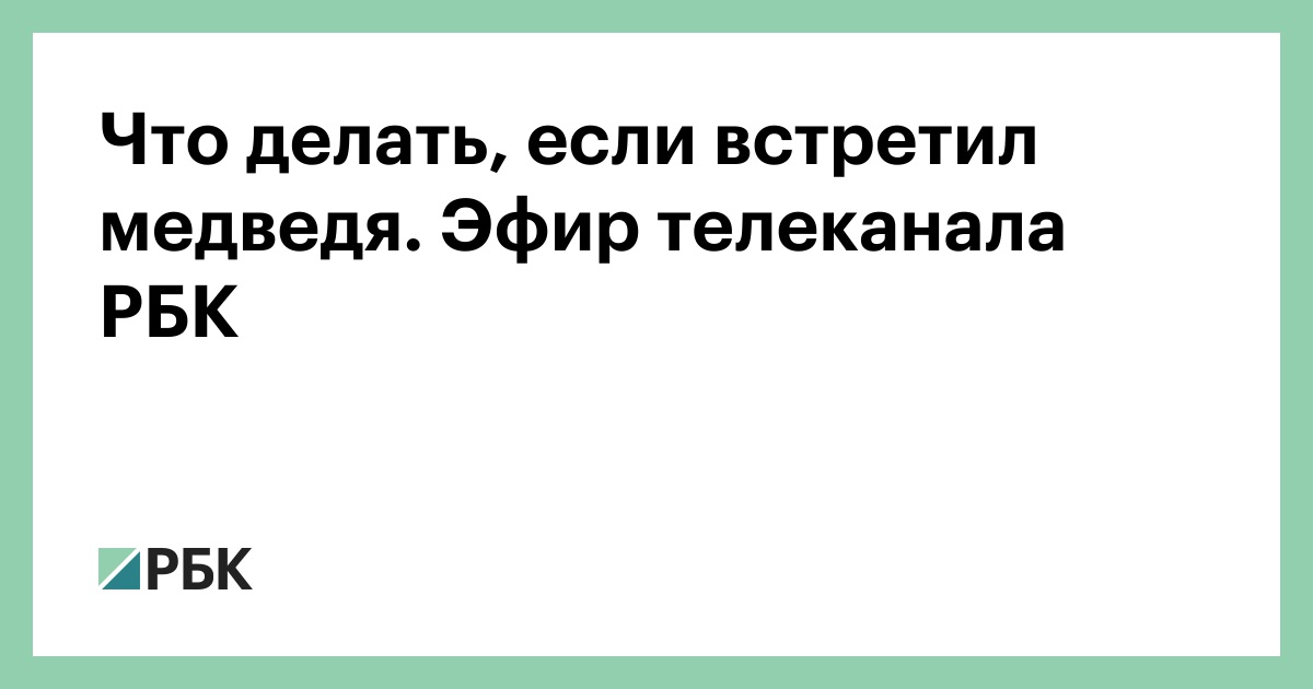 Что делать, если встретил медведя. Эфир телеканала РБК