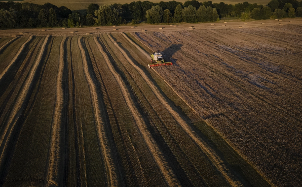 Ed Ram / Getty Images