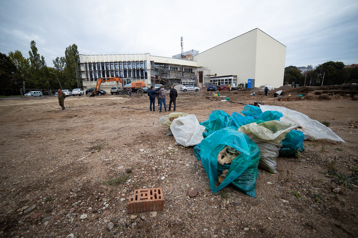 Фото: Александр Подгорчук