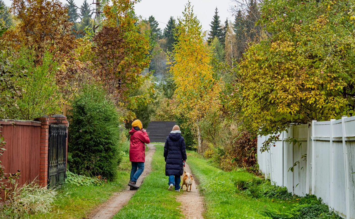 Константин Кокошкин / Global Look Press