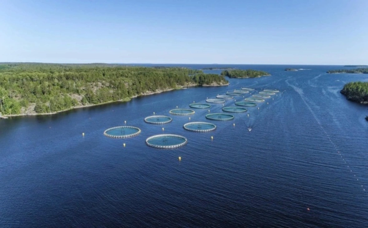 Минэкономразвития Карелии / vk.com