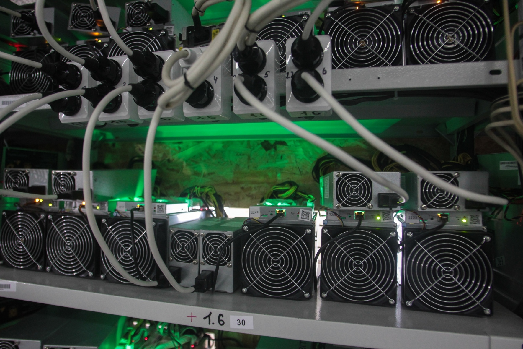 Фото: Пименов Роман / PhotoXPress.ru