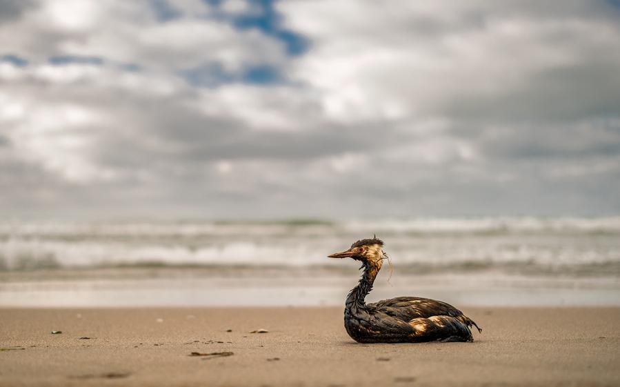 Фото: Shutterstock