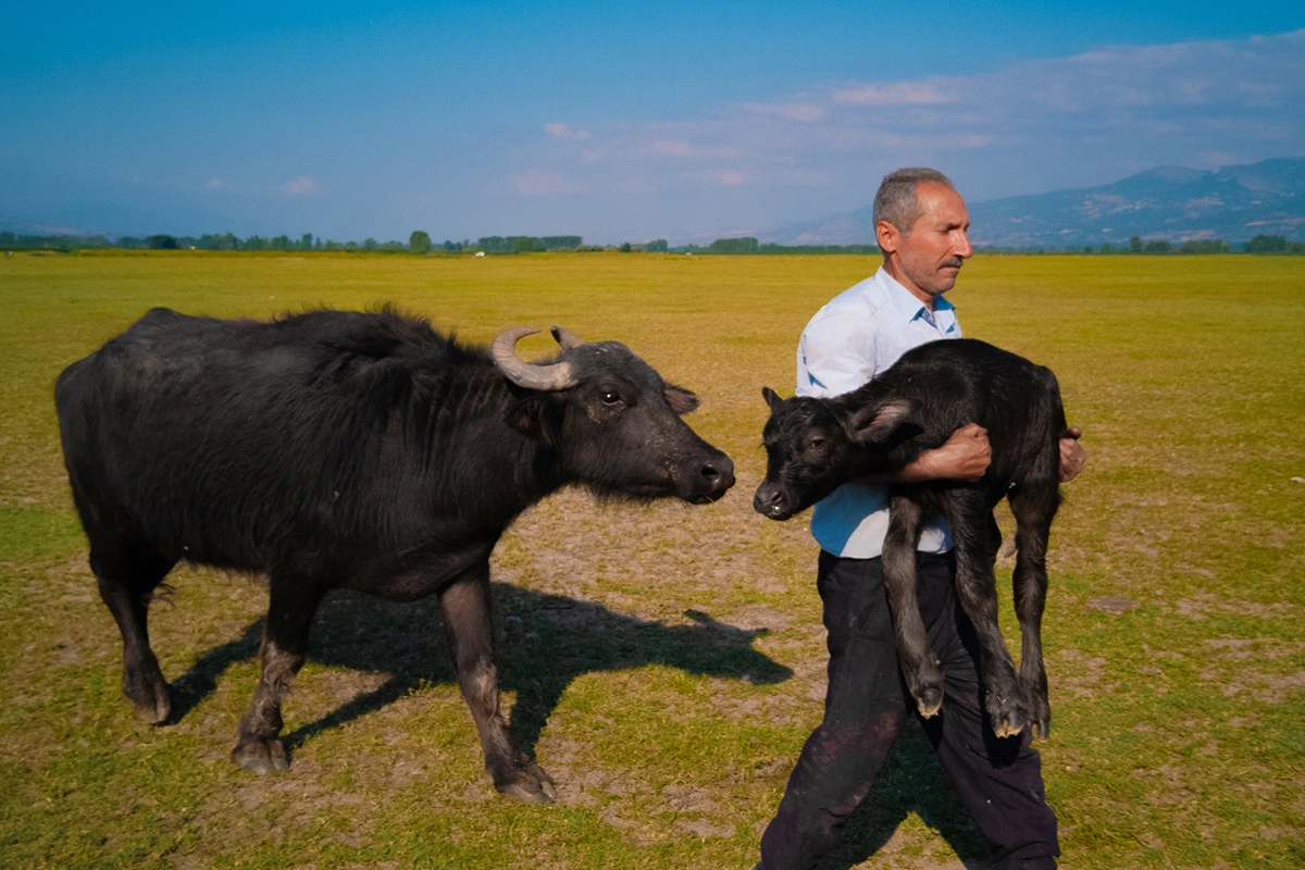 Вторым обладателем Гран-при стал муниципальный фотокорреспондент из Турции Мехмет Эмин Чоруш с работой под названием «Новая жизнь»