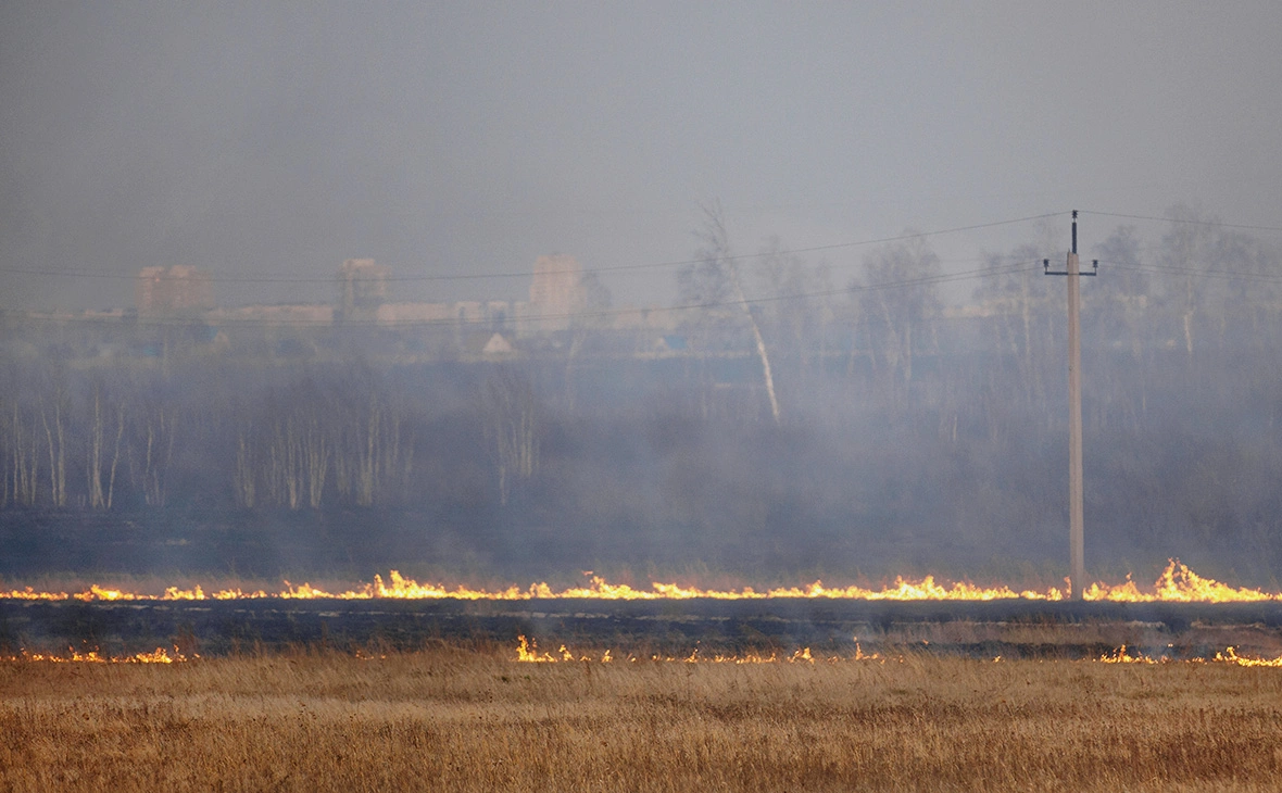 Евгений Кузьмин / РИА Новости