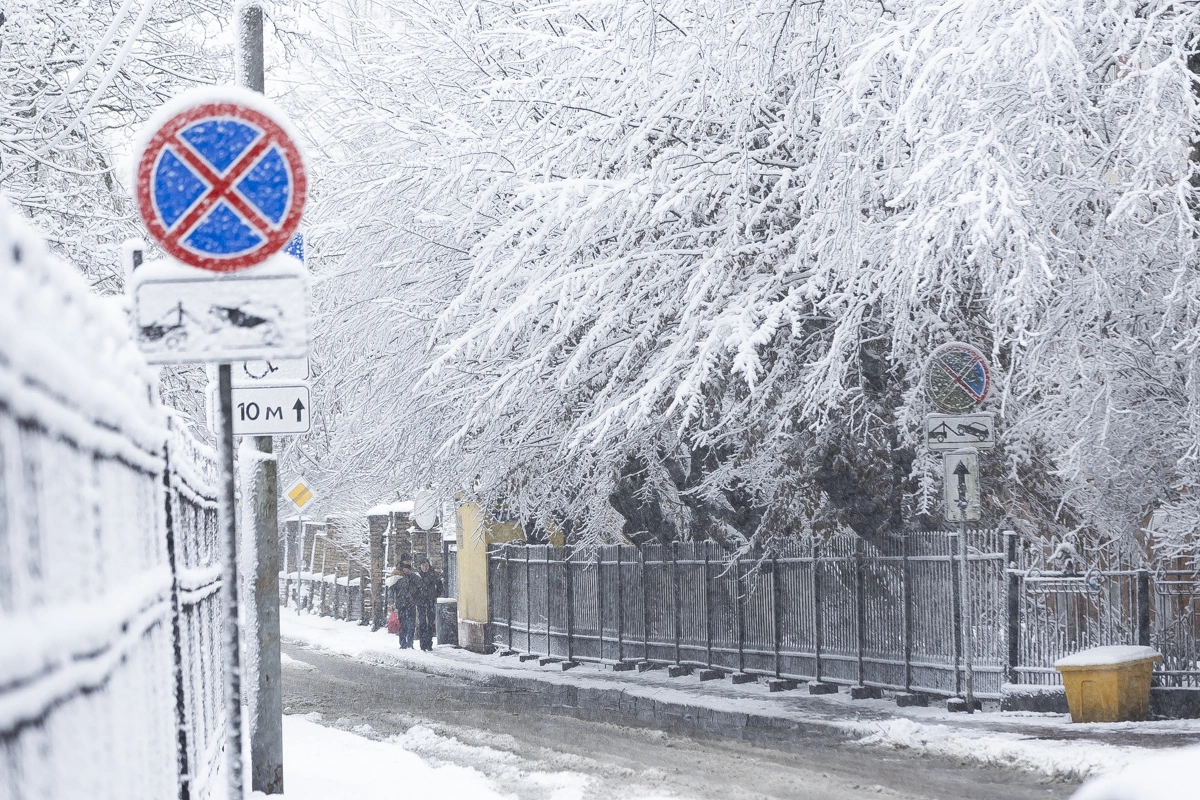 Александр Подорчук