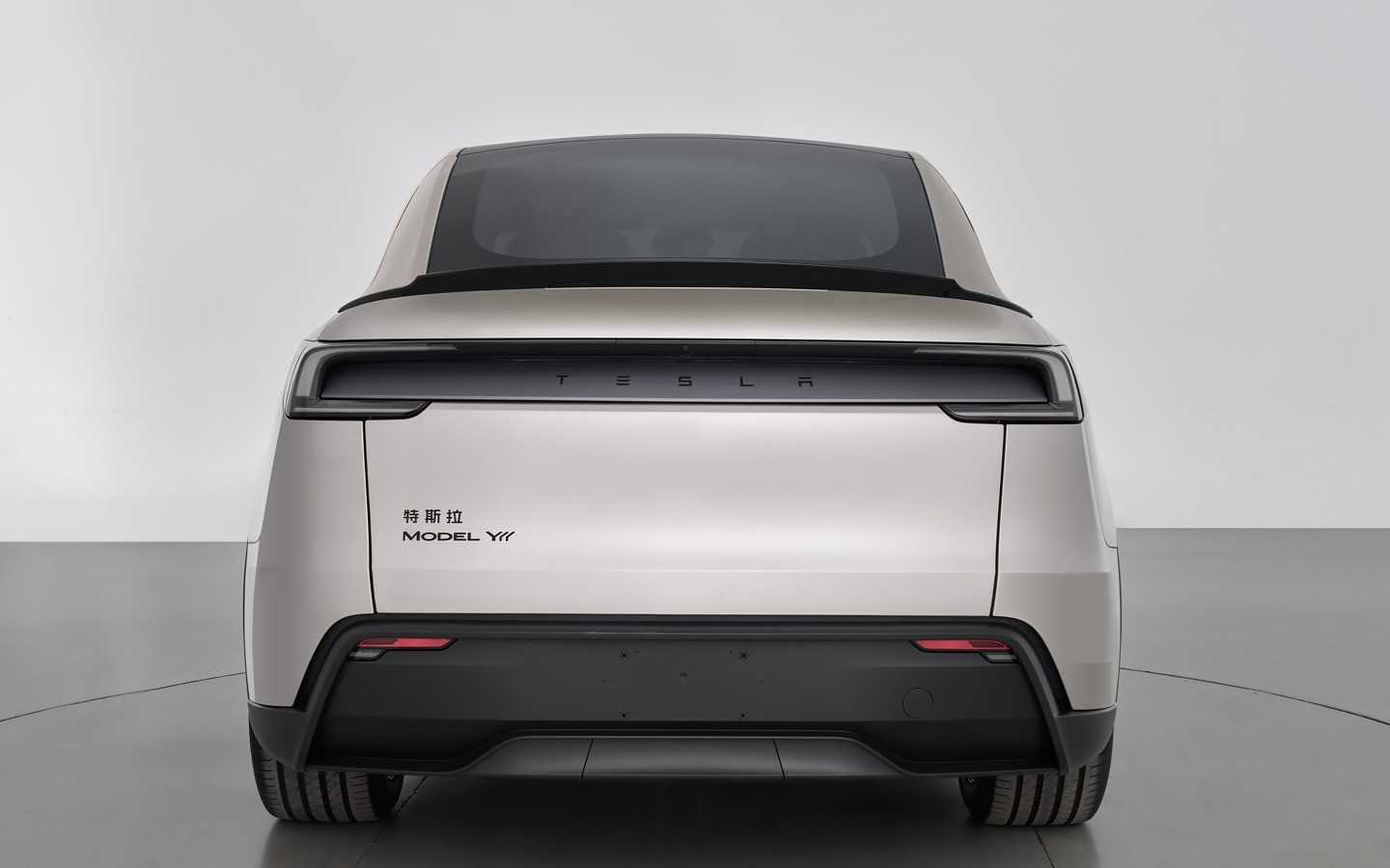 Tesla Model Y Long