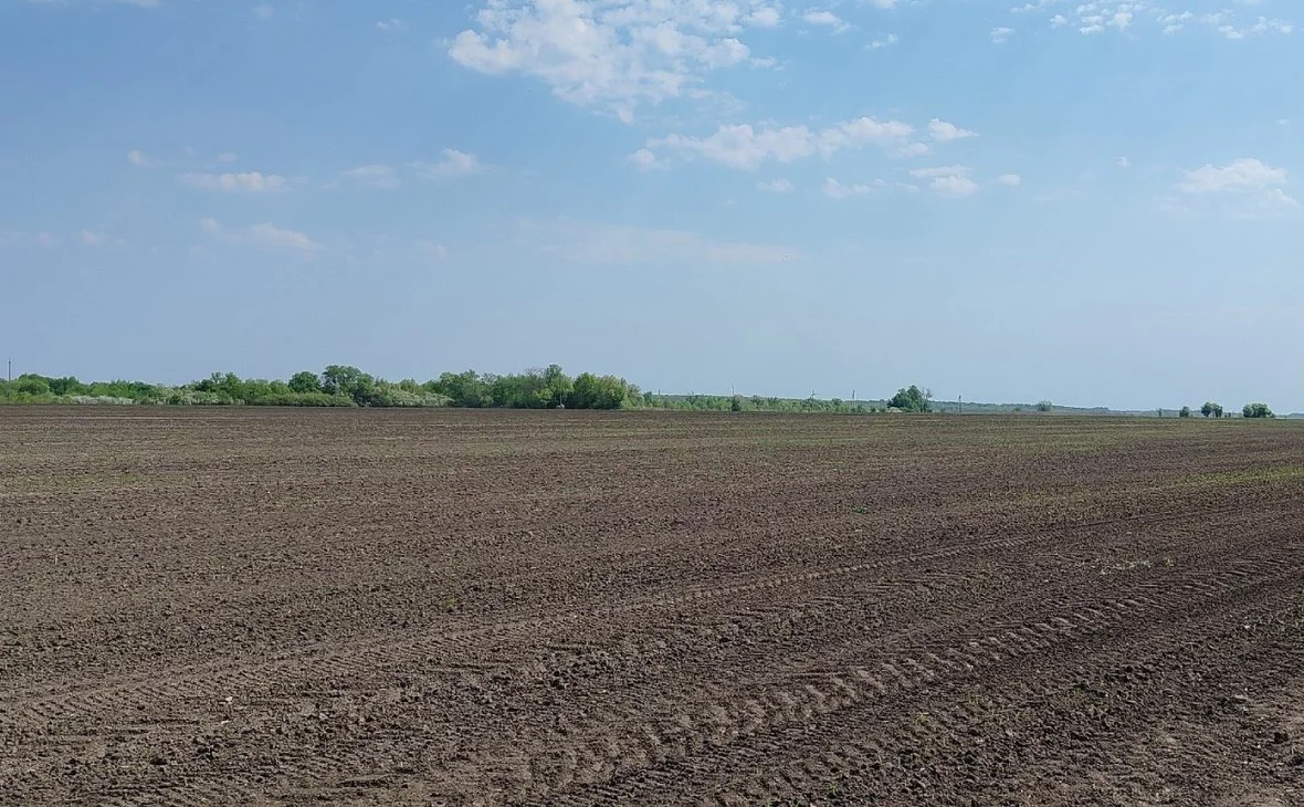 РБК Черноземье