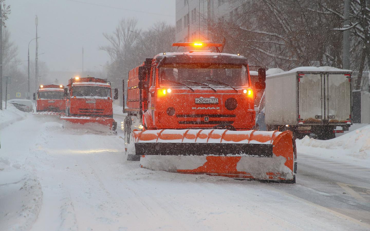 Фото: Василий Кузьмичёнок / Агентство «Москва»