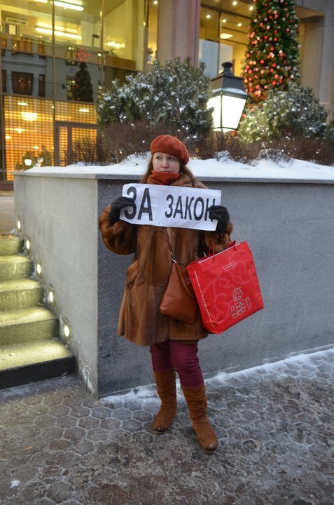 Возле Совета Федерации задержали противников "закона Димы Яковлева"