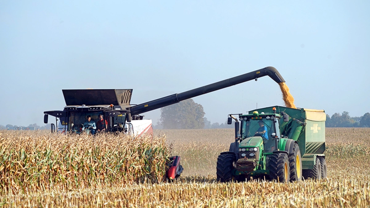 Александр Подгорчук