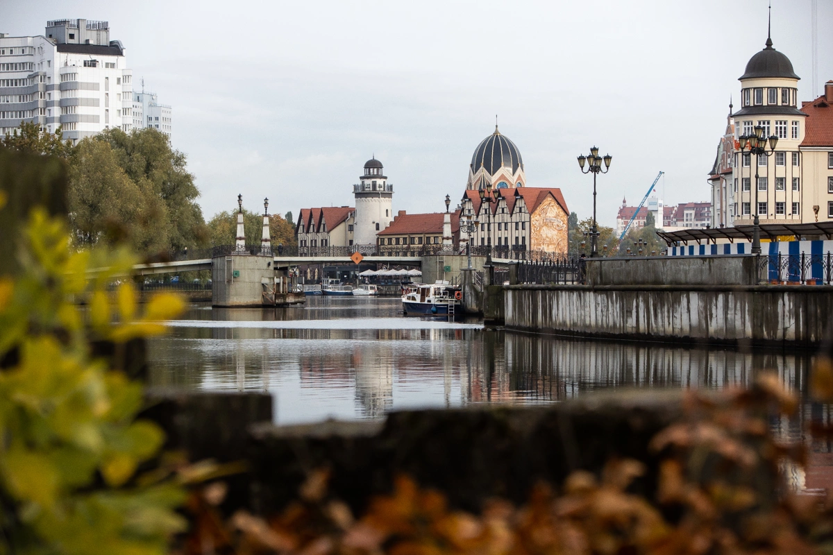 Александр Подгорчук