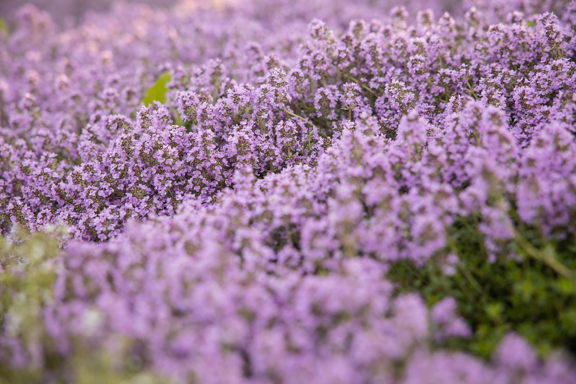 Фото: Владимир Разумов