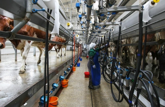 Виталий Тимкив / РИА Новости