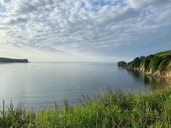 РБК Приморье