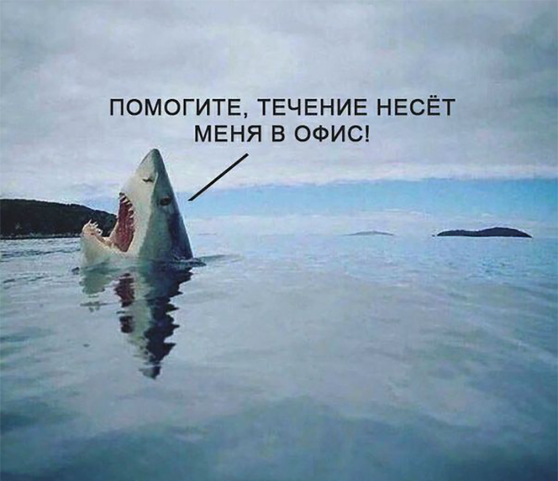Фото: memepedia.ru