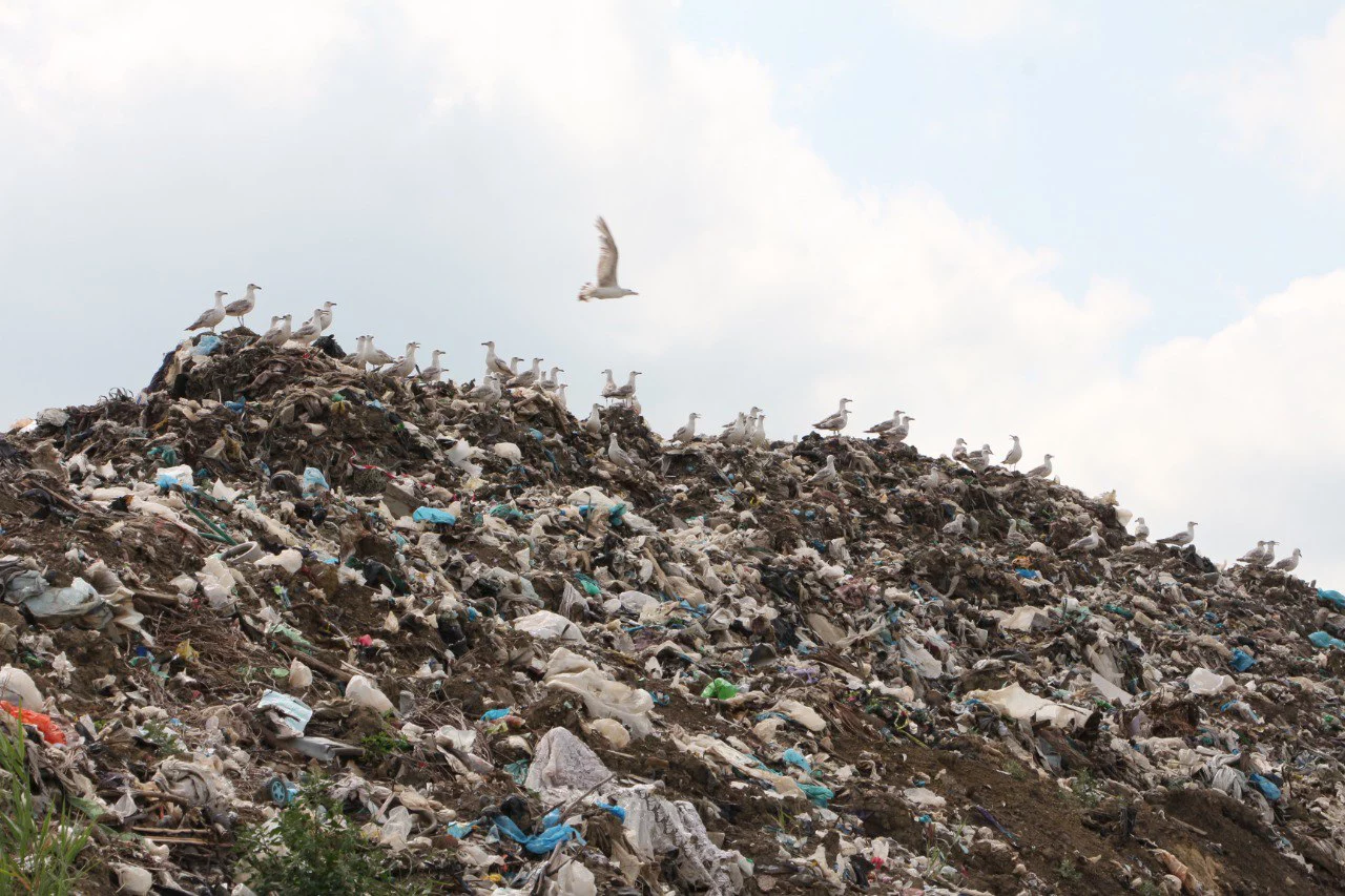 t.me/krasnoarm_admin