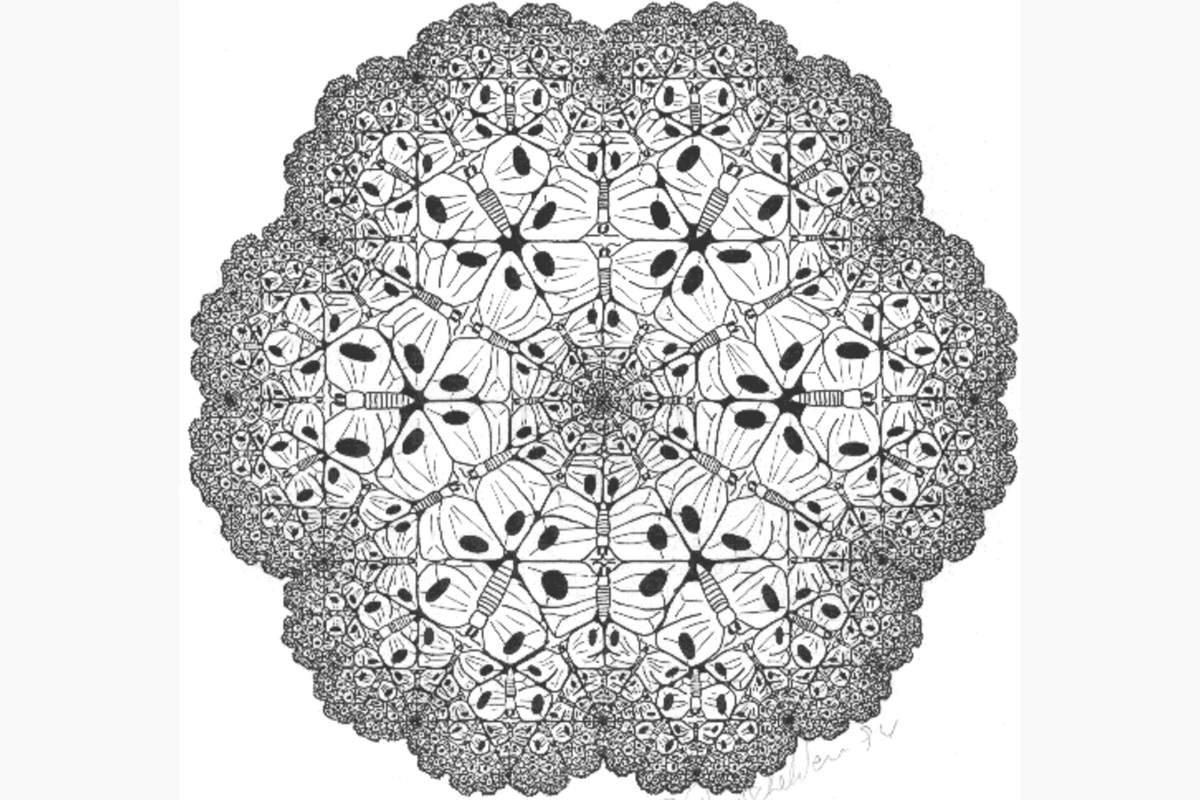 Фрактал в стиле Эшера, созданный Петером Редшелдерсом