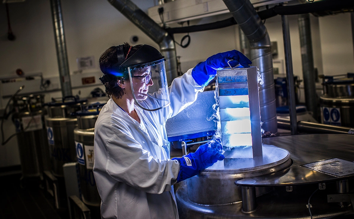 Dan Kitwood / Getty Images