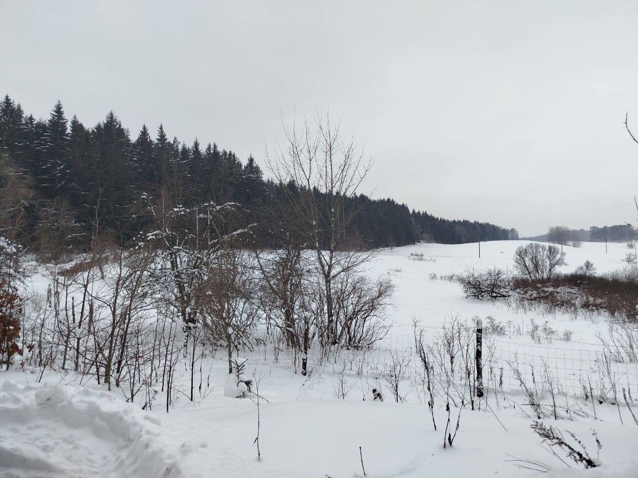 Фото: телеграм-канал Виштынецкого нацпарка