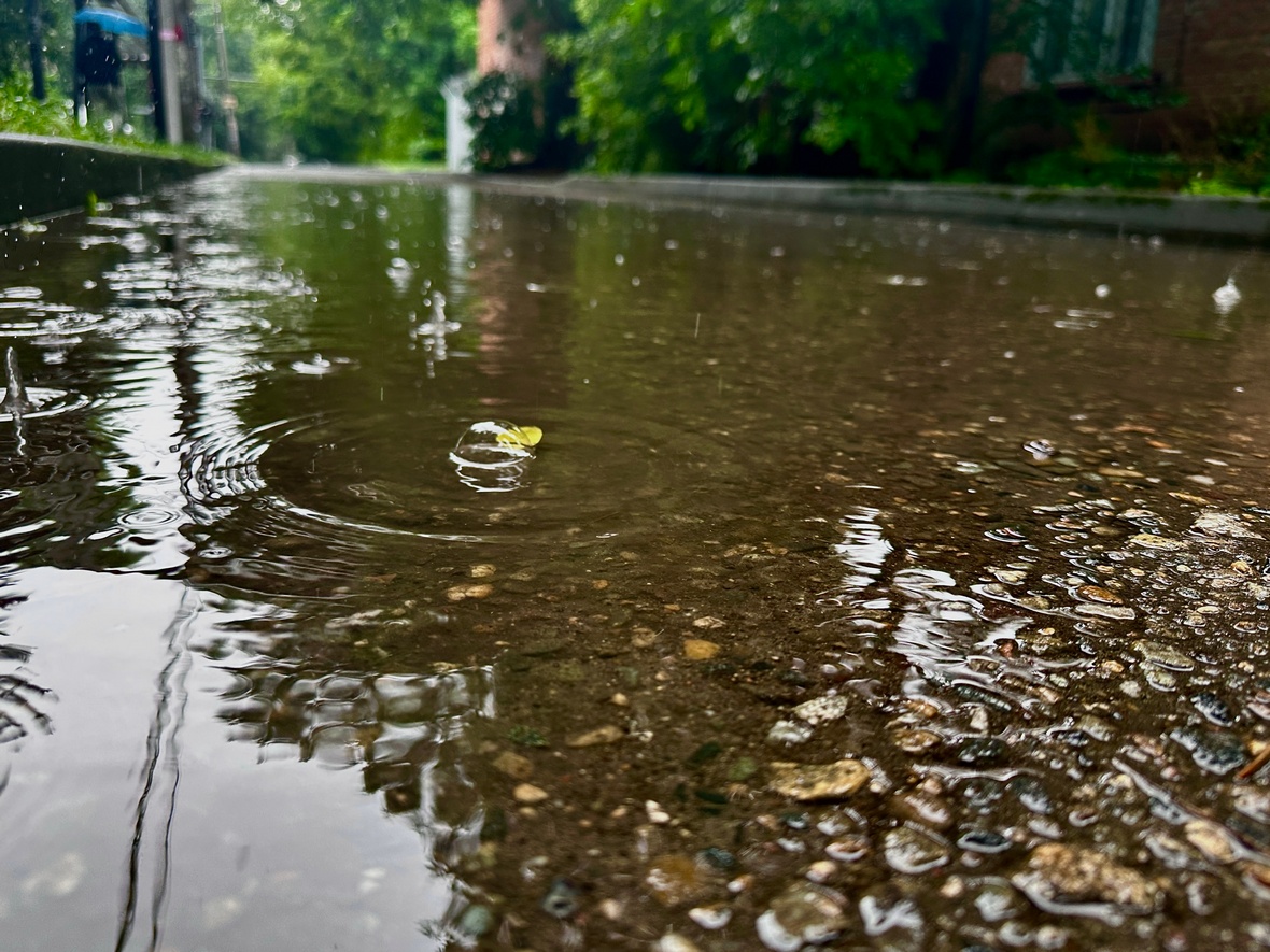 Фото: Анастасия Батаршинова, РБК Краснодар