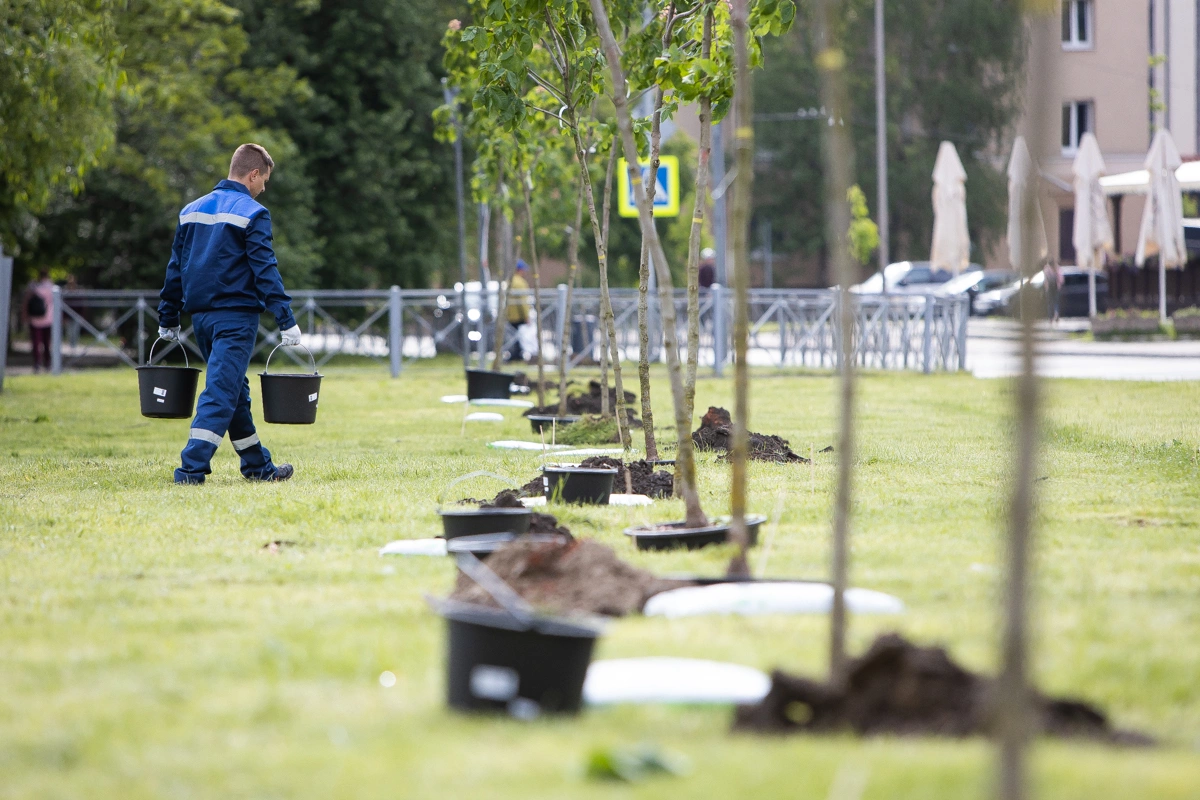 Александр Подгорчук
