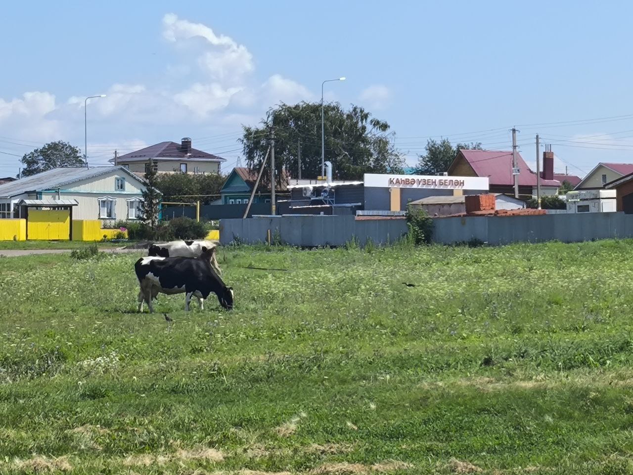 Фото: РБК Татарстан