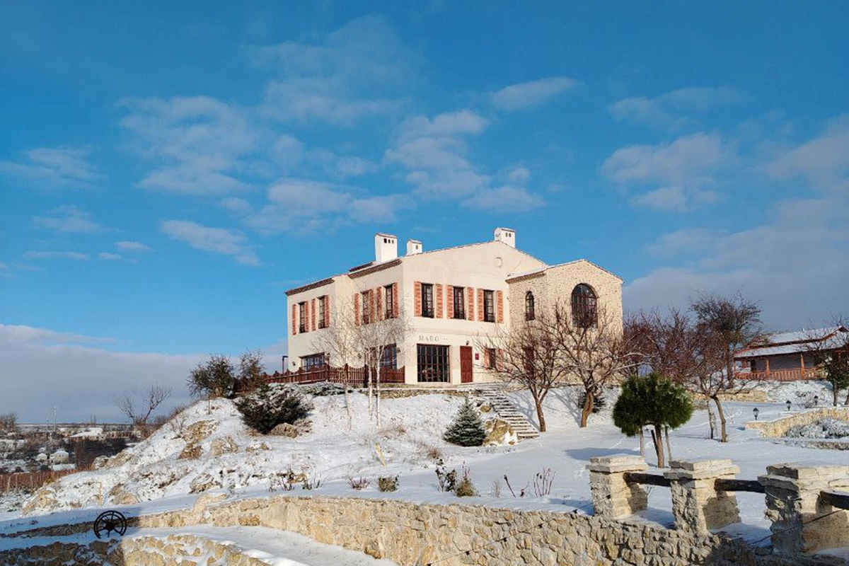 Зачем ехать на винодельню в новогодние праздники: десять причин