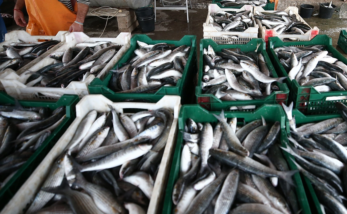 Сергей Мальгавко / ТАСС