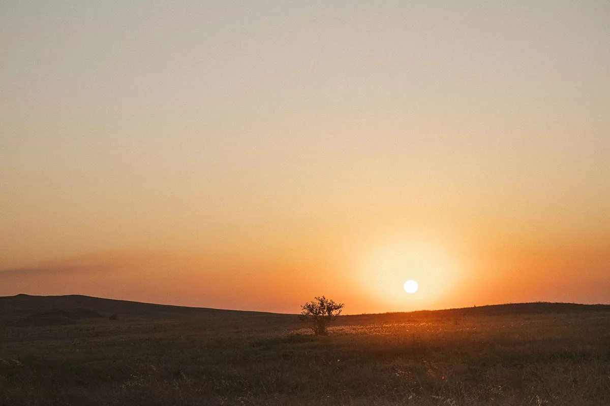 Тамань, виноградники семьи Узуновых