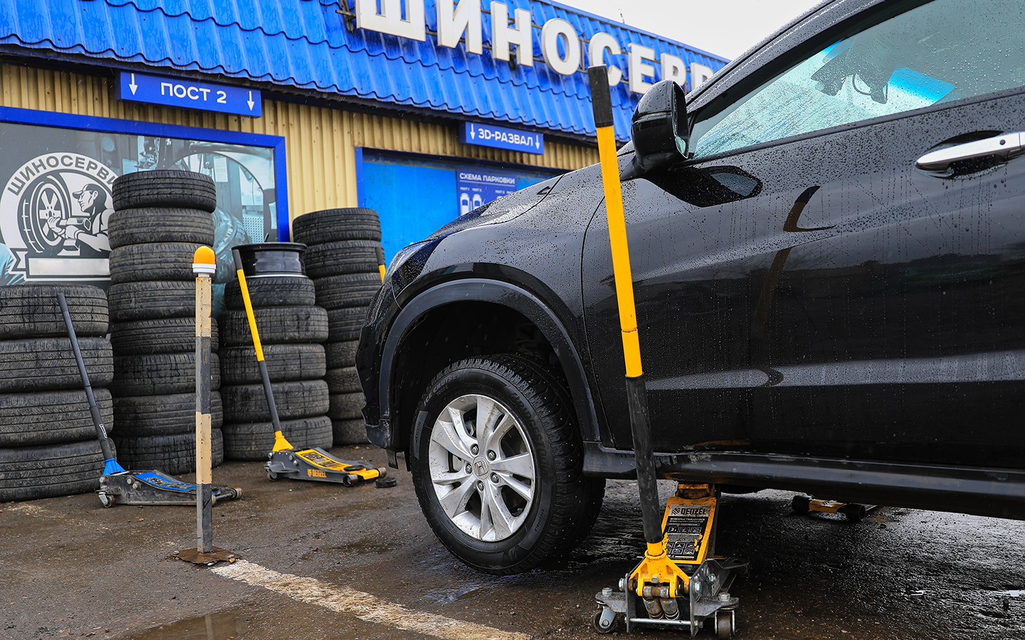 Фото: alleks19760526 / Shutterstock / FOTODOM