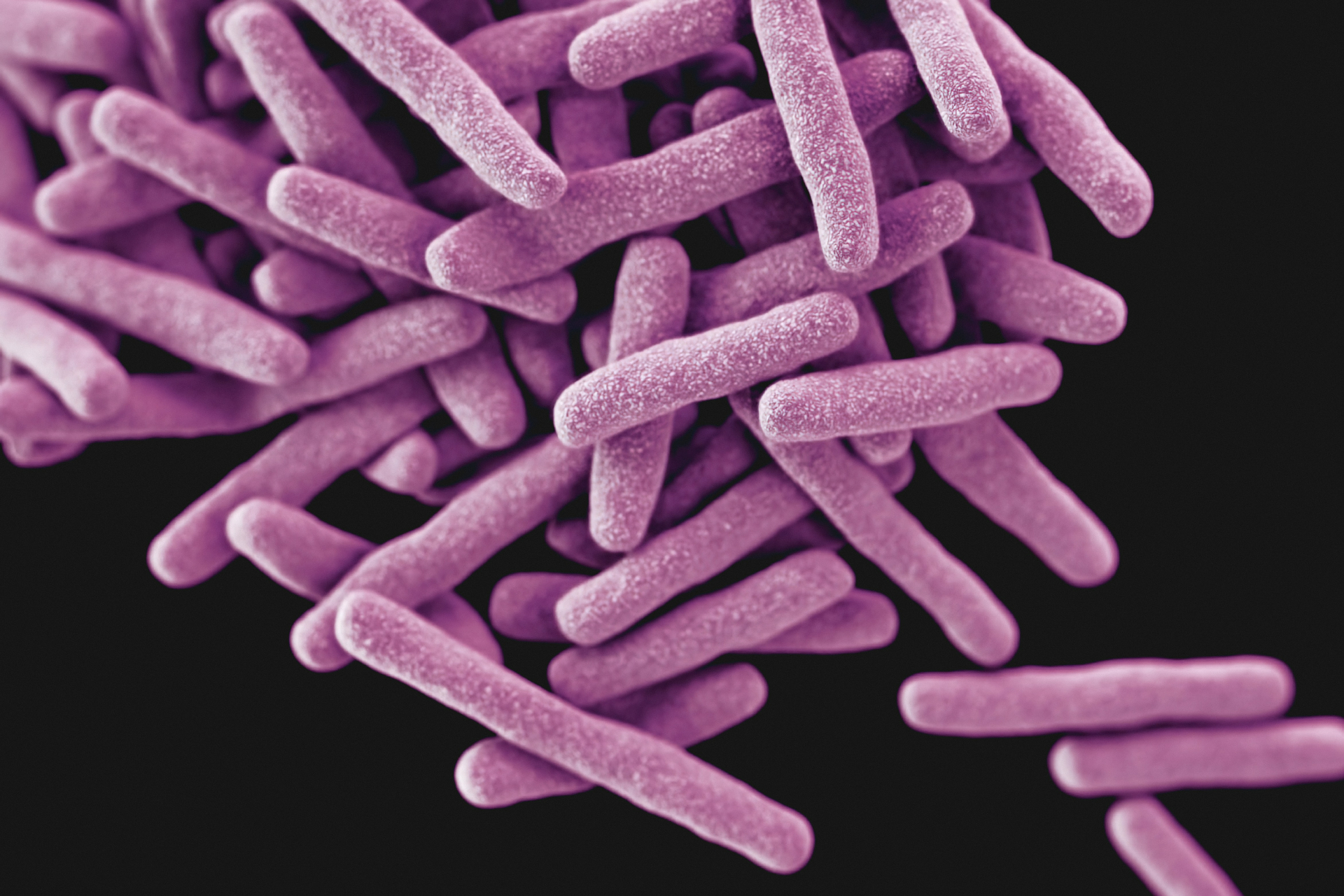 3D-изображение патогена, ответственного за возникновение заболевания туберкулезом