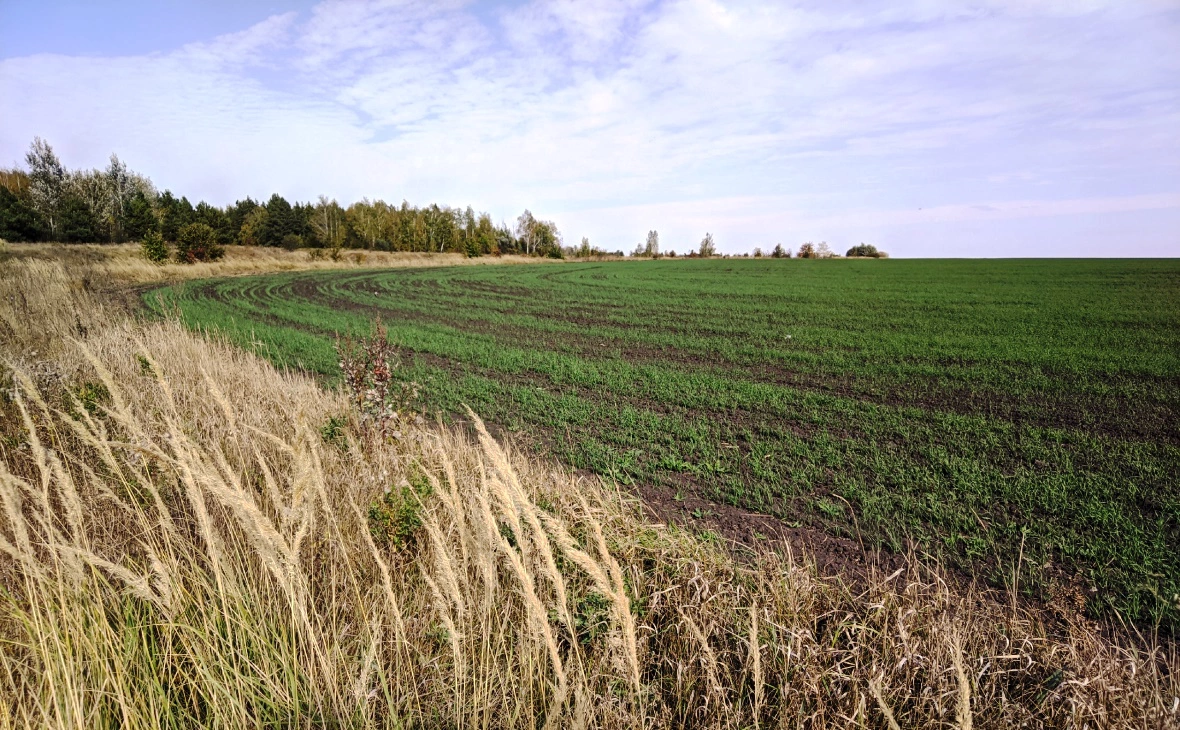 РБК Черноземье