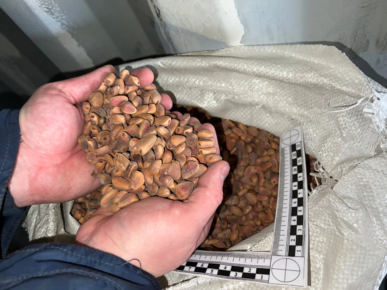 Пресс-служба Дальневосточного таможенного управления Федеральной таможенной службы