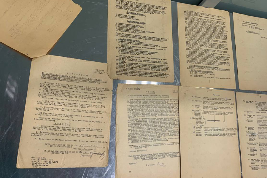 Фото: customs_rf / Telegram