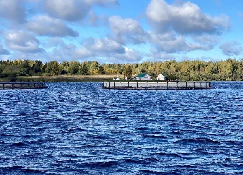 Рыбоводы Вологодчины завершили мелиорацию на 8 озерах