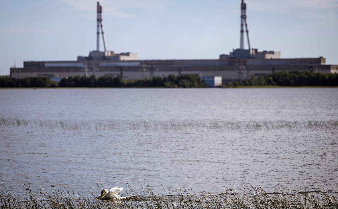 Karolis Kavolelis / Shutterstock