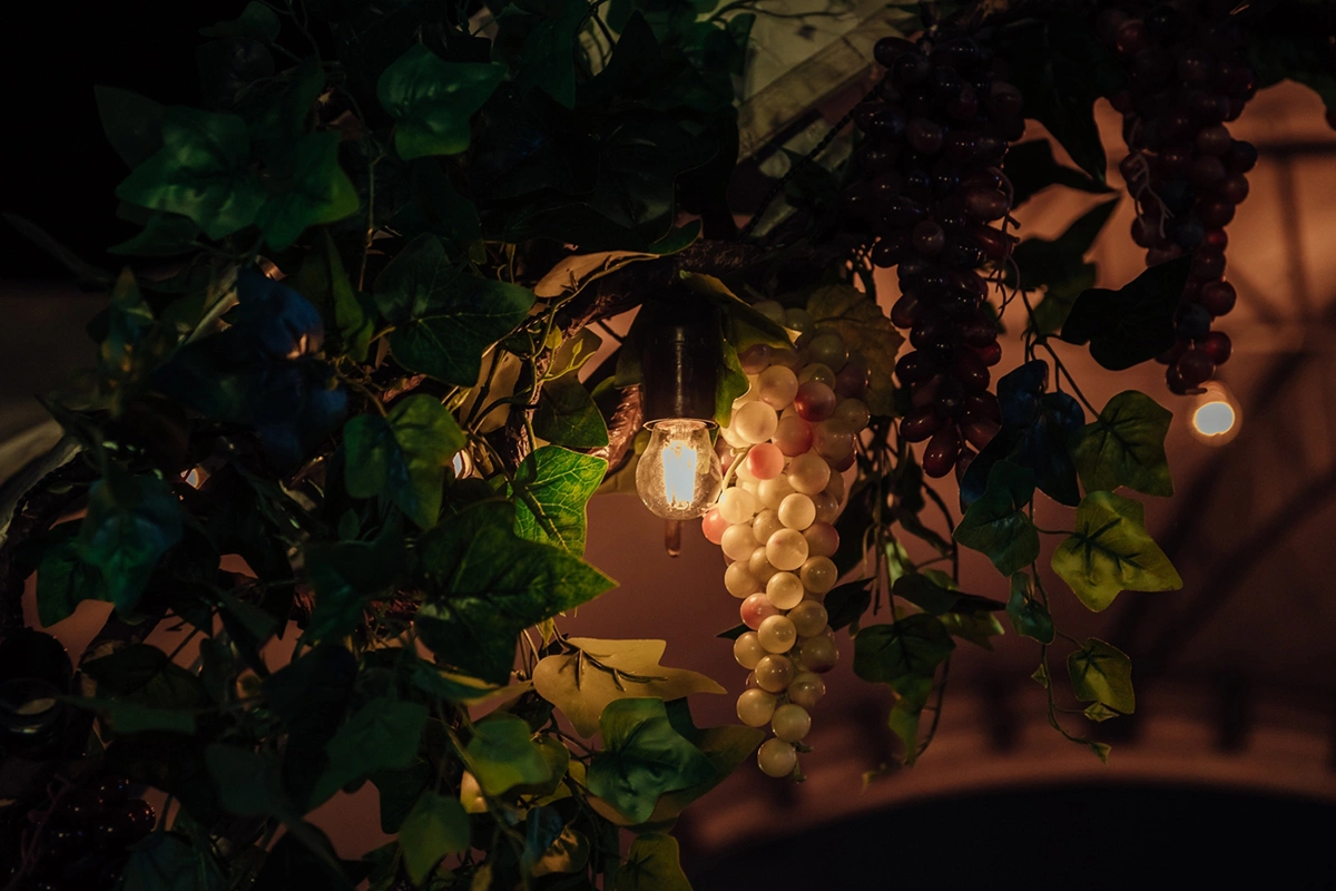 Вино и котлета по-волгоградски: как провести идеальные выходные на Волге