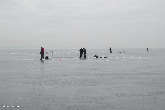 Лед Финского залива едва не погубил 70 петербуржцев. Фото