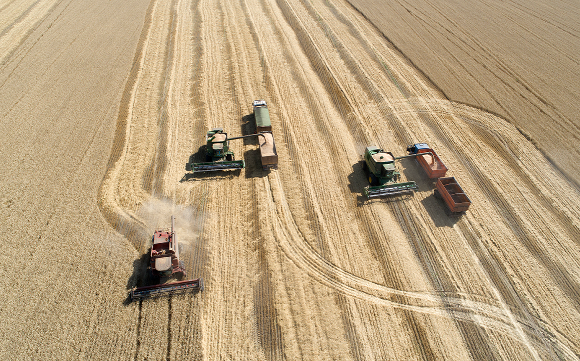 Путин спрогнозировал рекордный урожай зерна в 2022 году
